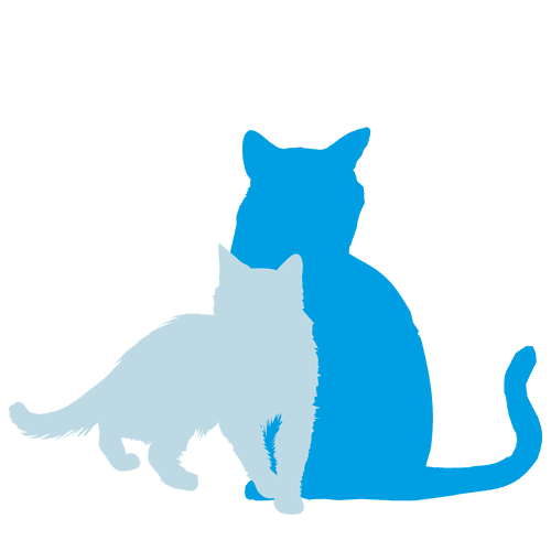 BotonGato
