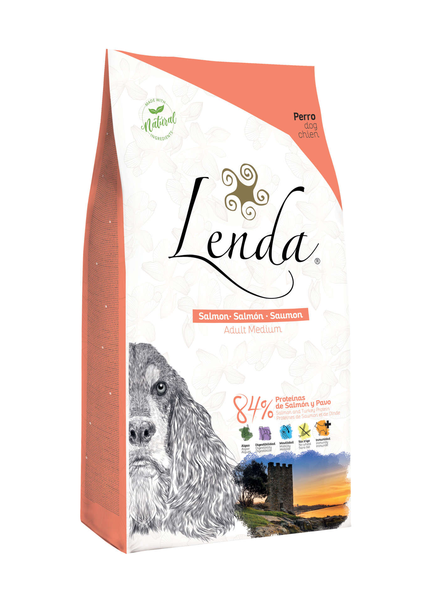 Lenda Salmon
