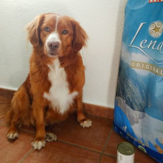 Light-Clientes-2.jpg
