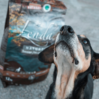 Perro-Cliente-5.jpg