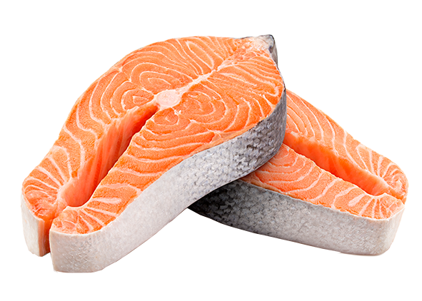 salmon