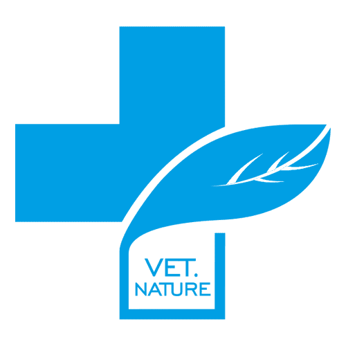 Logo Cruz