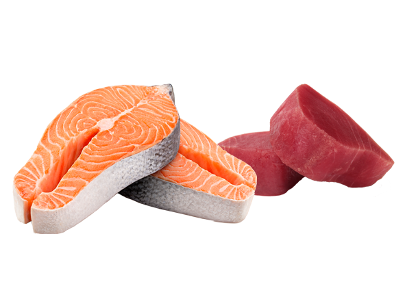 oily fish