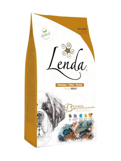 Chicken-based maxi dog food