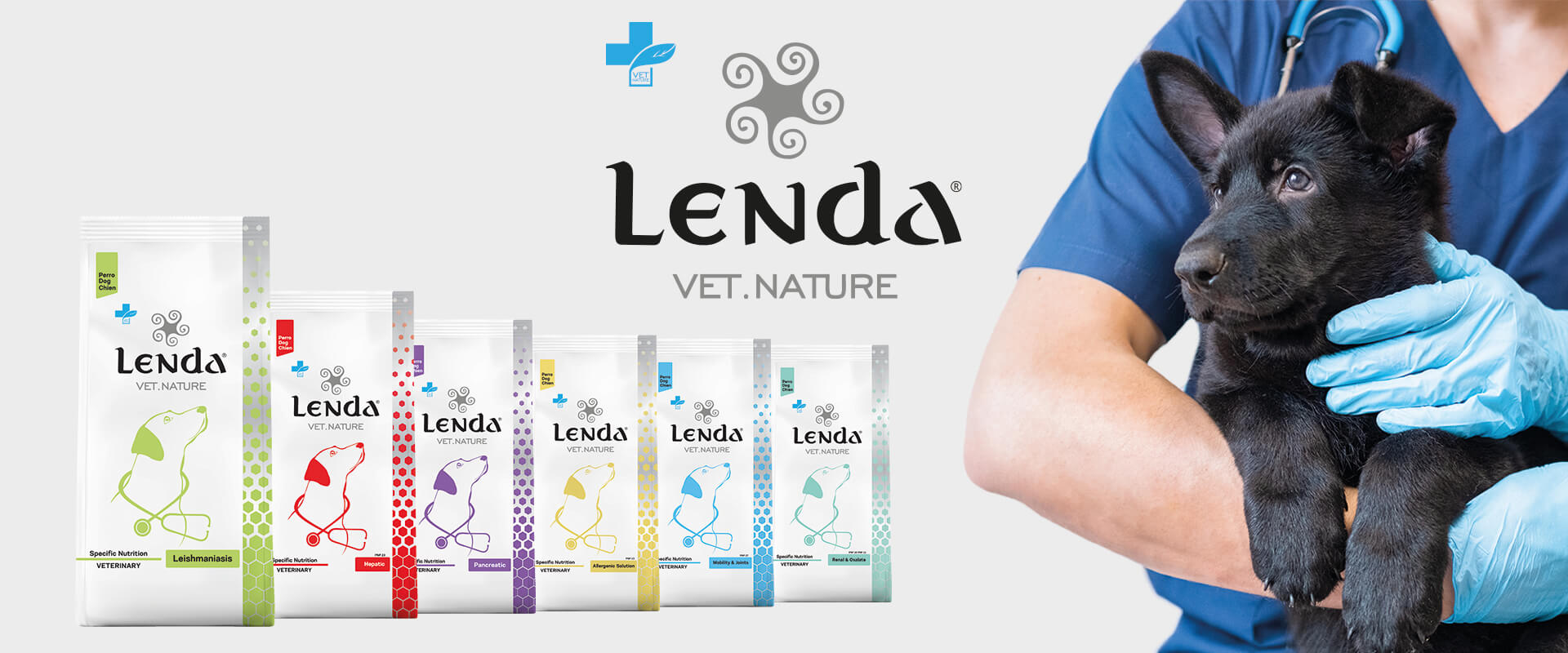banner Lenda VET Dog