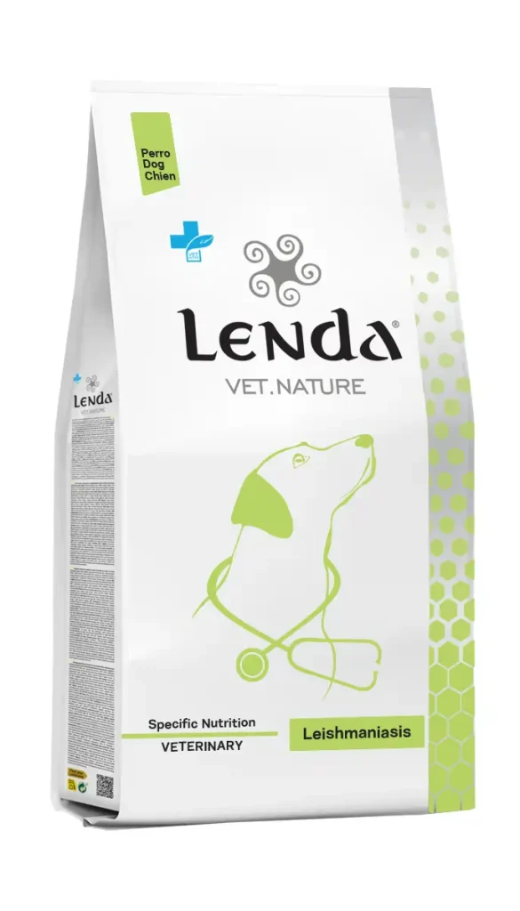 Leishmaniasis Dog