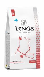 Cardiac Cat